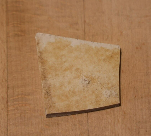 Fossil haarsterne seelilie - 2,