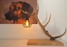 Rothirsch Stehlampe Geweih