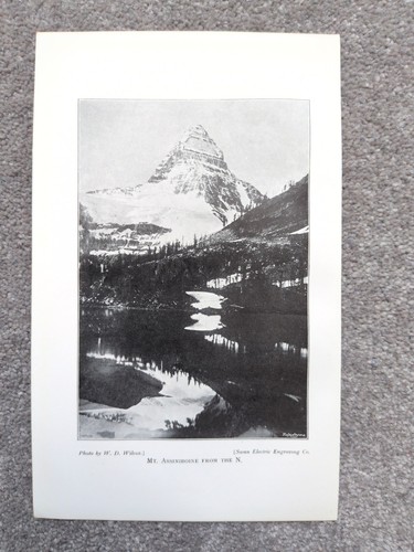 Mount assiniboine canadian - mount,