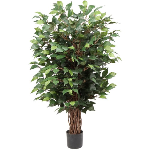 Ficus benjamini kunstpflanze - ficus,