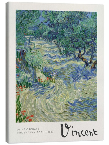 Leinwandbild olivenhain 1889 - leinwandbild, olivenhain,