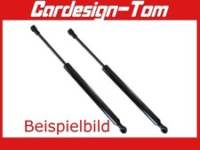 2x Gasdämpfer