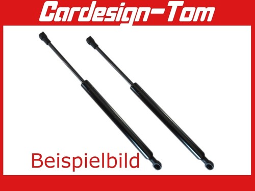 Gasdämpfer - 2x,