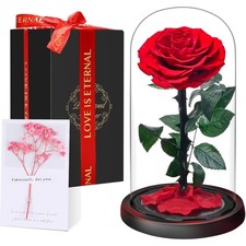 Ewige Rose Glas Valentinstag