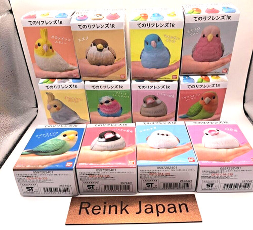 Tenori friends little small - 1r,