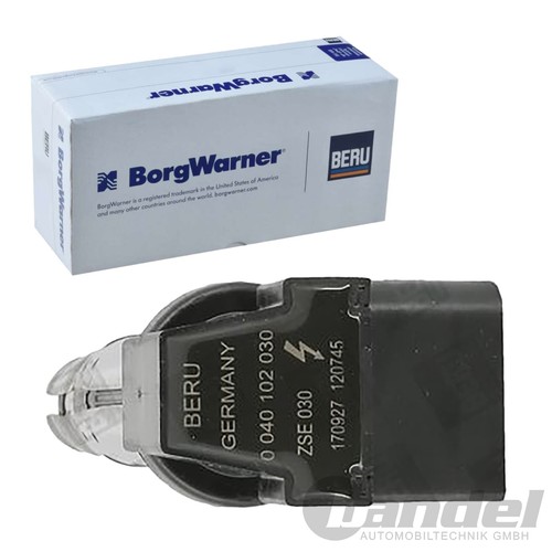Borgwarner zündspule - (beru),