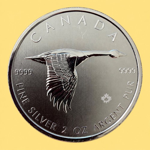Kanada gans 2020 - 2020, 2