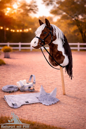 Hobby horse - hobby,