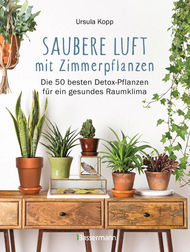 Saubere luft mit - saubere,