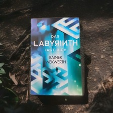 Rainer Wekwerth - Das Labyrinth (2): Das Labyrinth Jagt Dich