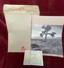 Joshua tree tour program - tour,
