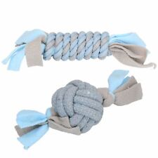 2 blaue kleine Hunde Welpen