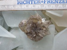 GipsRose, Amsdorf, Romonta