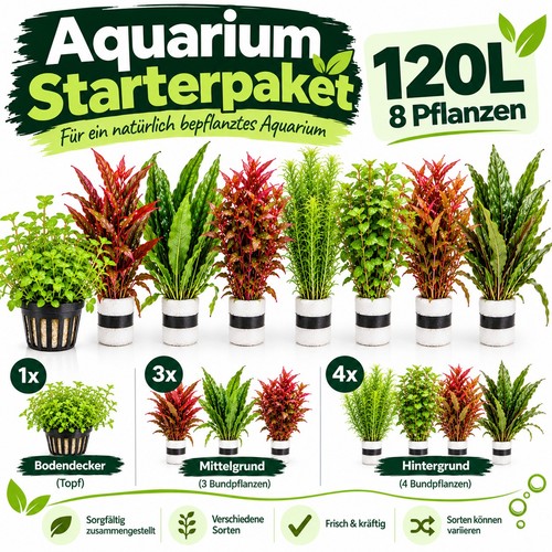 Aquariumpflanzen starter set - aquariumpflanzen,
