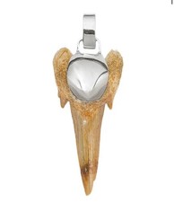 Anhänger Haifisch-Zahn, 4,0cm