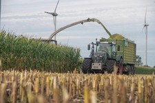 Poster Fendt 936 im Mais