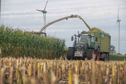 Poster fendt 936 mais - poster, im