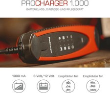 ProCharger 1.000