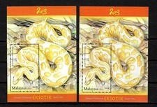 Malaysia 2013: Königspython