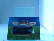 Ansichtskarten postkarten - 3d, ansichtskarten/postkarten