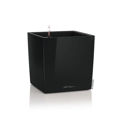 Lechuza cube premium - cube,