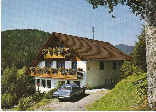 Menzenschwand schwarzwald - schwarzwald,