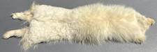 Sehr alter Silberfuchs Polarfuchs Stola Echtpelz Fell mit Kopf und Beinen