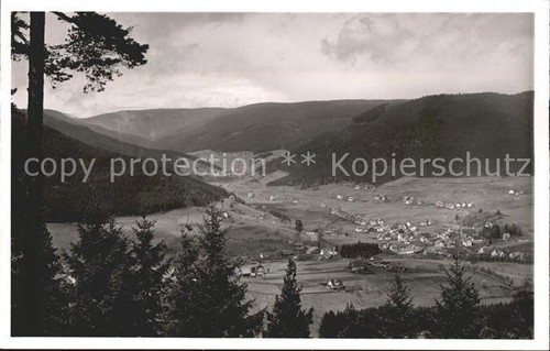 Mitteltal schwarzwald gasthaus - mitteltal,