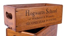 Hogwarts Schule der Hexerei