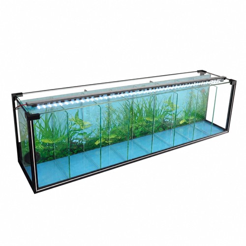 Kammer zucht aquarium - 8-kammer, zucht-aquarium