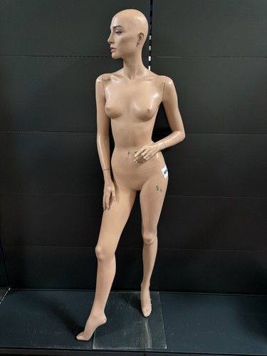 Mannequin schaufensterpuppe - mannequin,