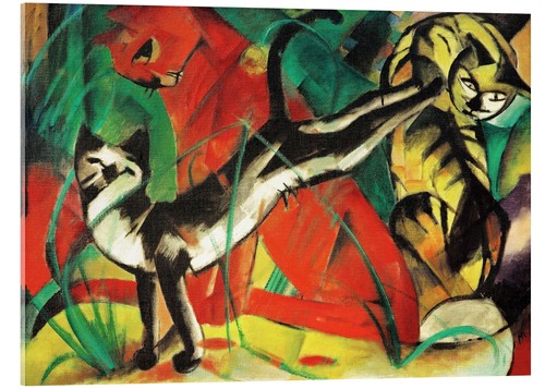 Acrylglasbild drei katzen - drei,
