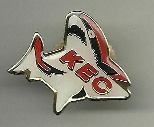 Eishockey pin emblem - eishockey,