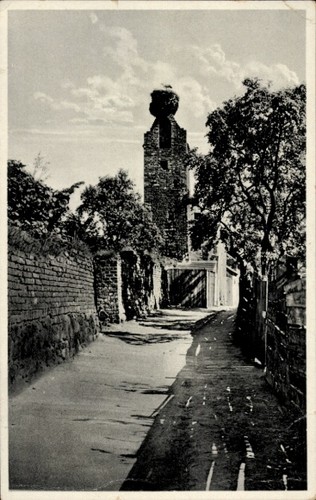 Chojna königsberg neumark - königsberg,