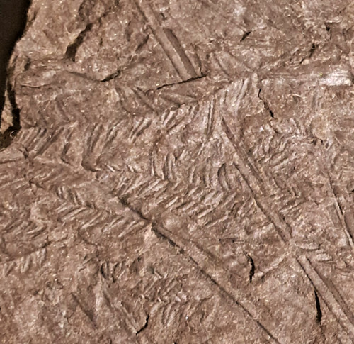 Schieferplatte mit