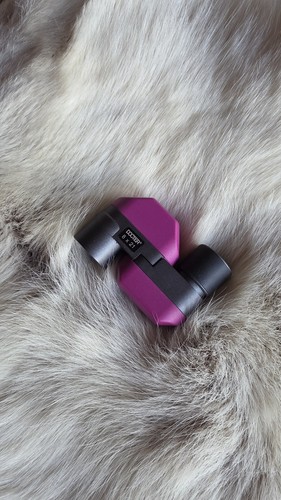 Fernglas monocular 21 - fernglas,
