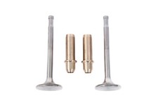 Ventil Set für Zylinderkopf