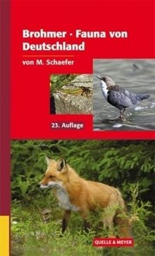 Fauna von deutschland - fauna,