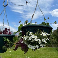 Hanging basket blumenampel - hanging,