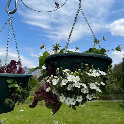Hanging basket blumenampel - basket,,
