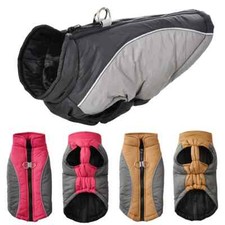 Winter Warme Haustier Hund