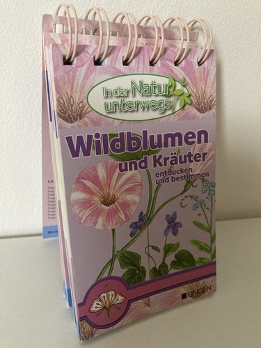 Wildblumen kräuter - wildblumen,