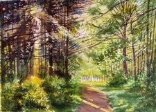 Aquarellbild Original 32x24