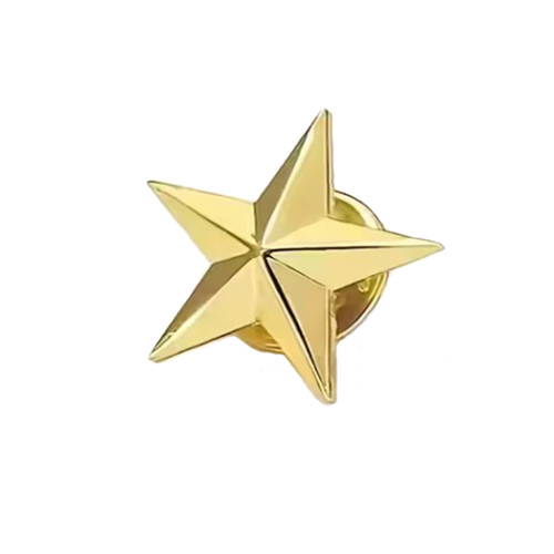 Stern pin gold - gold, anstecker