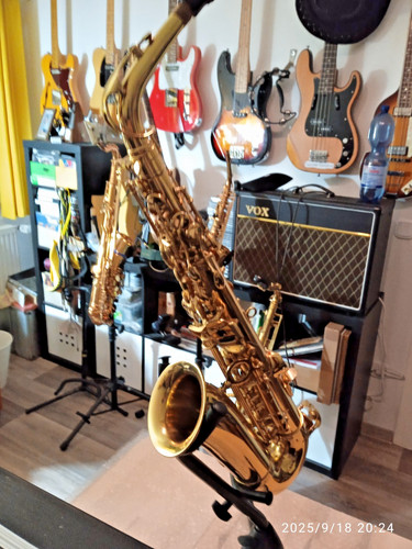 Alto saxophon palentino - saxophon,