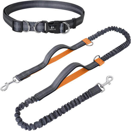 Joggingleine hunde mit - joggingleine,