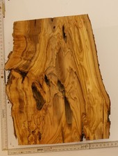 Olivenholz Epoxid Holz 5cm