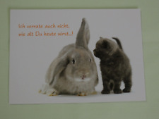 1x Postkarten Geburtstag Hase
