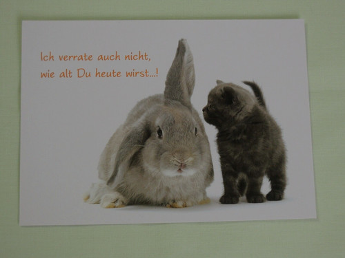 Postkarten geburtstag hase - 1x,