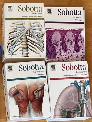 Sobotta lernkarten anatomie - lernkarten,